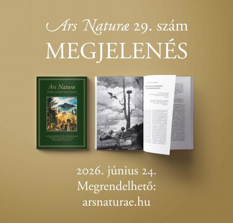 AN29 - megjelenés