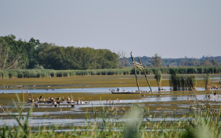 A Berekben (fotó: Kocsi Lajos)