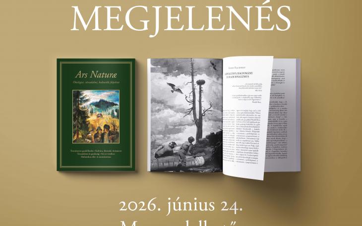 AN29 - megjelenés