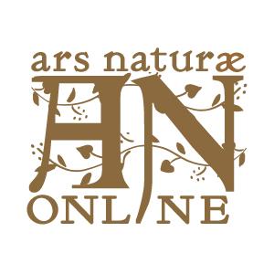 Profile picture for user Rolf Amtmann